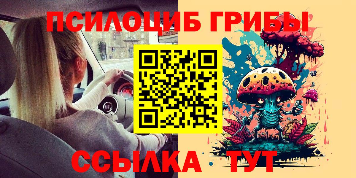 Йошкар-Ола  Галлюциногенные грибы прущие грибы  Вход с VPN  Галлюциногенные грибы Magic Shrooms 